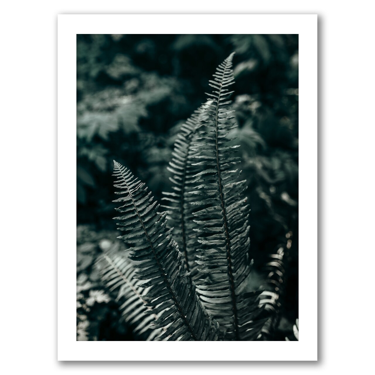 Green Ferns by Torrey Merritt Frame  - Americanflat